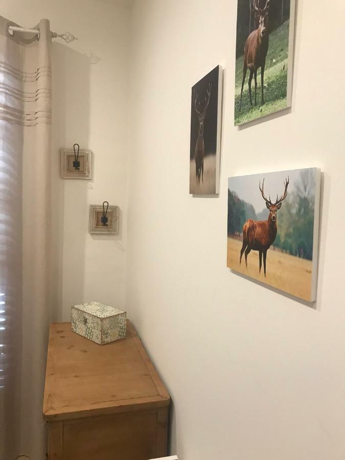 Apartament Neret II Sort Buitenkant foto
